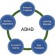 ADHD Connection to Other Mental Health Conditions