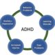 ADHD Connection to Other Mental Health Conditions