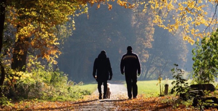 Exercise Prevent Dementia